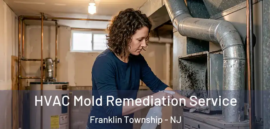  HVAC Mold Remediation Service Franklin Township - NJ